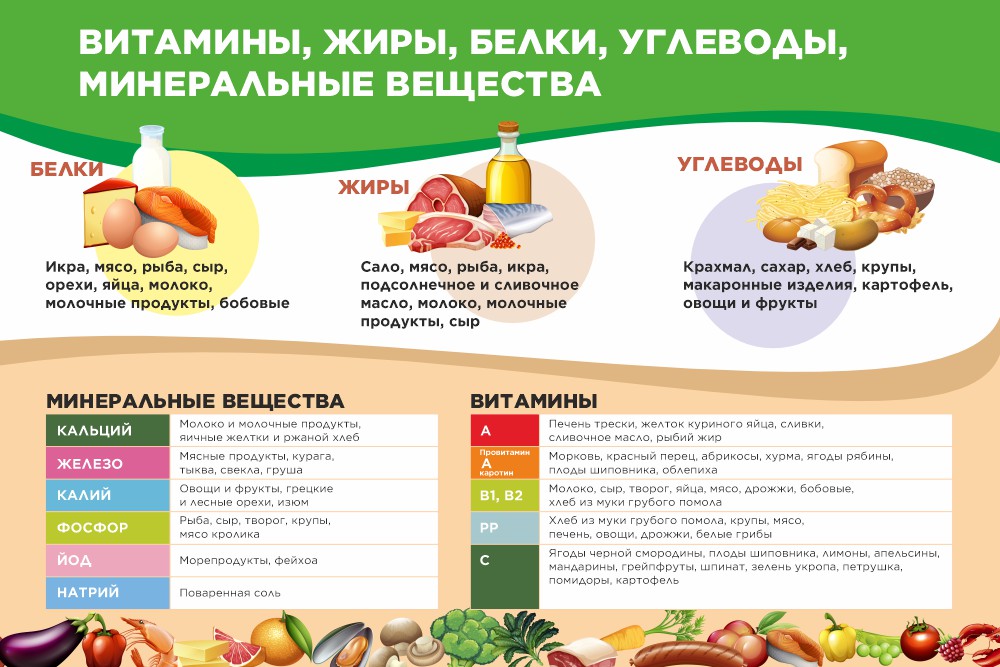 стенд витамины минералы белки углеводы жиры
